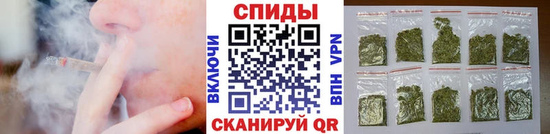 блэк спрут ссылки  Шахты  Бутират бутандиол 