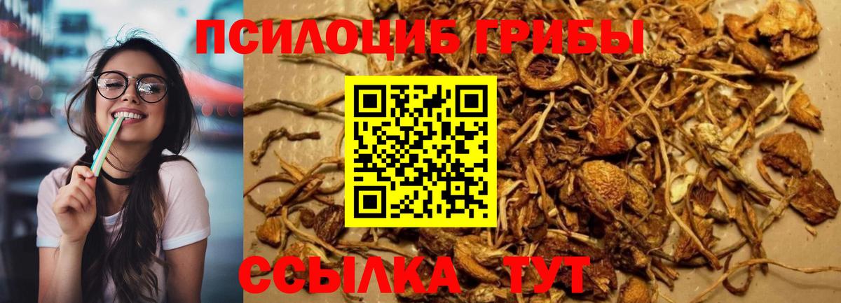 Галлюциногенные грибы GOLDEN TEACHER Шахты